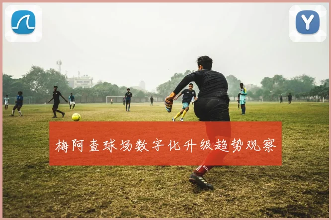 梅阿查球场数字化升级趋势观察