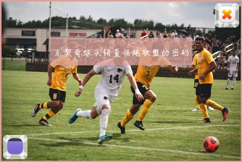 东契奇球衣销量领跑联盟的密码