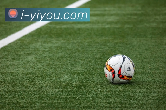 App Interface Preview